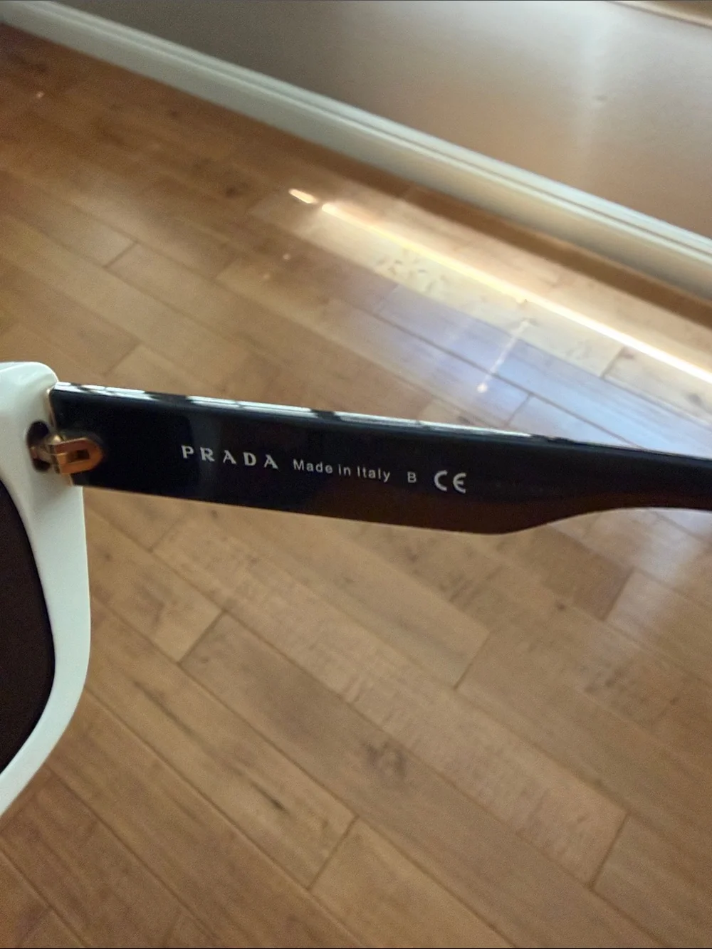 Prada bold cat